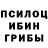 Галлюциногенные грибы Psilocybe vitot
