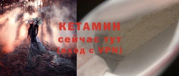 сатива Богданович
