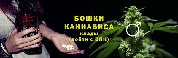 сатива Богданович