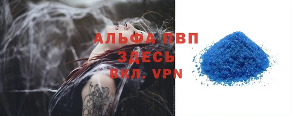 сатива Богданович