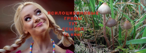 мдма Богородицк