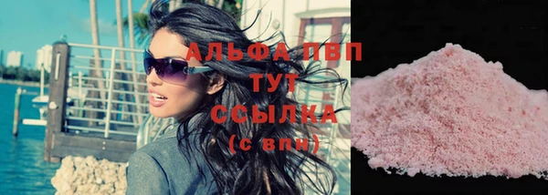 сатива Богданович