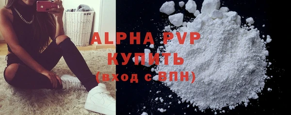сатива Богданович