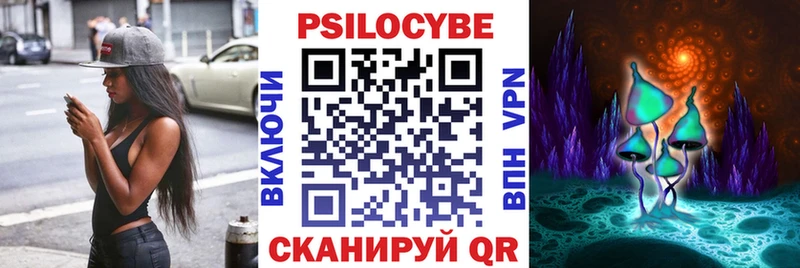 Галлюциногенные грибы Psilocybe Ейск